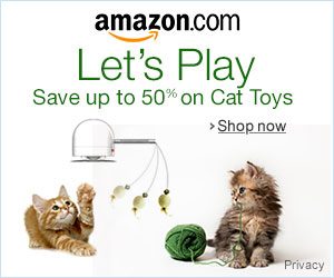 6 28 associates graphics for Cat1 300x250 300x250 - Home