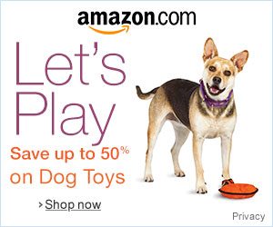 6 28 associates graphics for Dog1 300x250 1 300x250 - Home